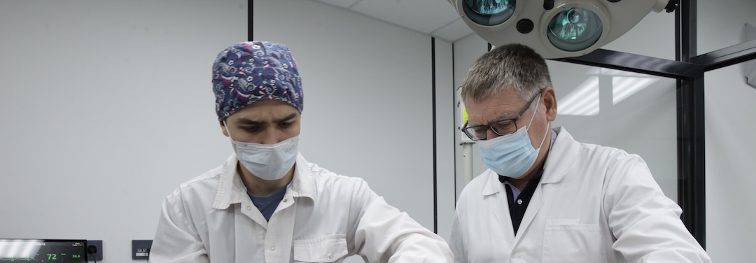 Физическая и реабилитационная медицина